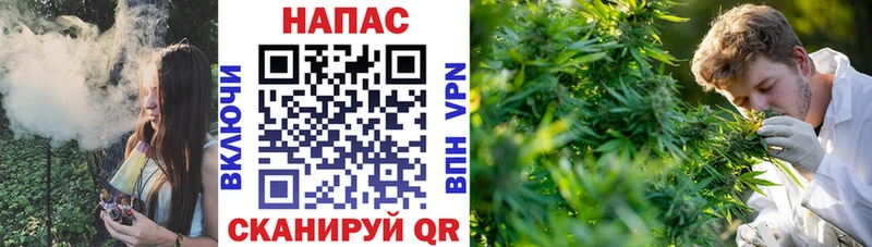 Бошки Шишки индика  Иркутск 